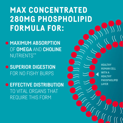 Kori Krill Oil  Omega-3 Excel 500mg, 80ct