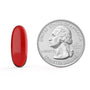 A closeup of a red kori krill oil pill next to a quarter. The pill is slightly less long than the longest side of a quarter.