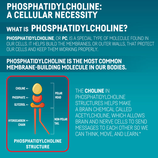 Kori Krill Oil Omega-3 Excel 500mg, 3 Pack 240 CT